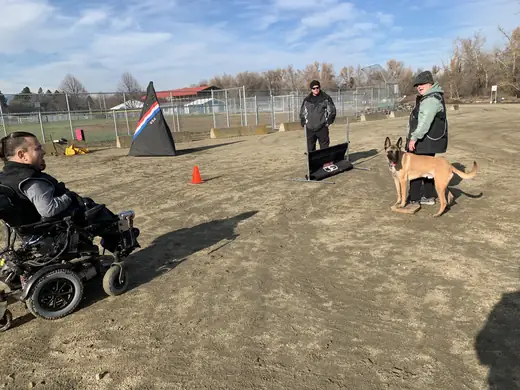 Working dog practicing controlled handler engagement during RVSC club training on December 5, 2018 — photo 03