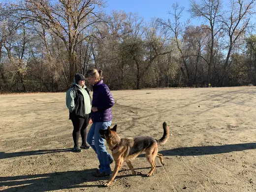 Working dog and handler practicing obedience during RVSC club training on December 5, 2018 — photo 04