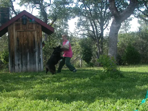 German Shepherd and handler practicing obedience and control during RVSC club training in January 2008 — photo 02