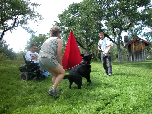 German Shepherd practicing protection foundations during RVSC club training in January 2008 — photo 01