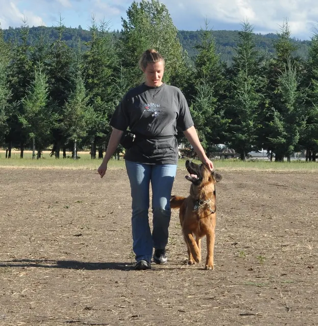 Working dog and handler during RVSC July 2011 club training — photo 02
