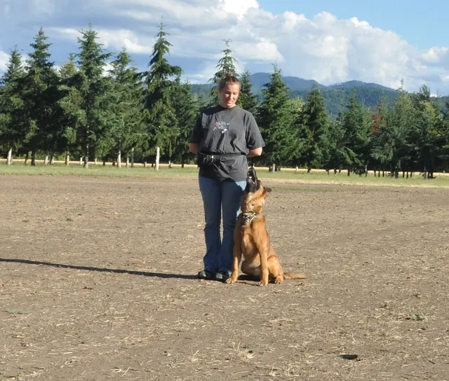 Working dog and handler during RVSC July 2011 club training — photo 04