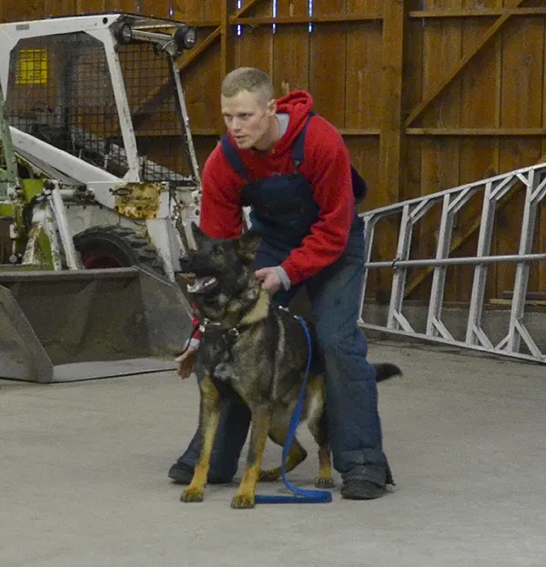 Working dog and handler during RVSC July 2011 club training — photo 08
