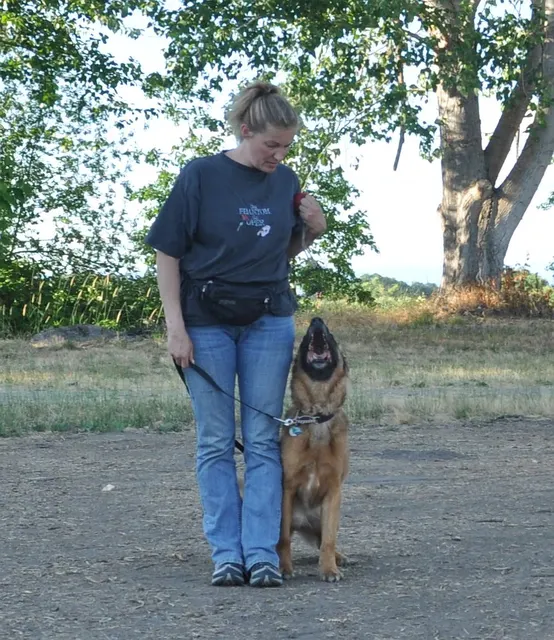 Working dog and handler during RVSC July 2011 club training — photo 09
