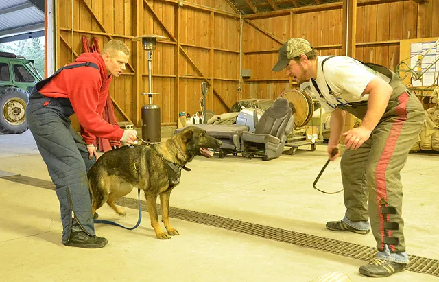 Working dog and handler during RVSC July 2011 club training — photo 11