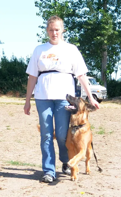 Working dog and handler during RVSC July 2011 club training — photo 13