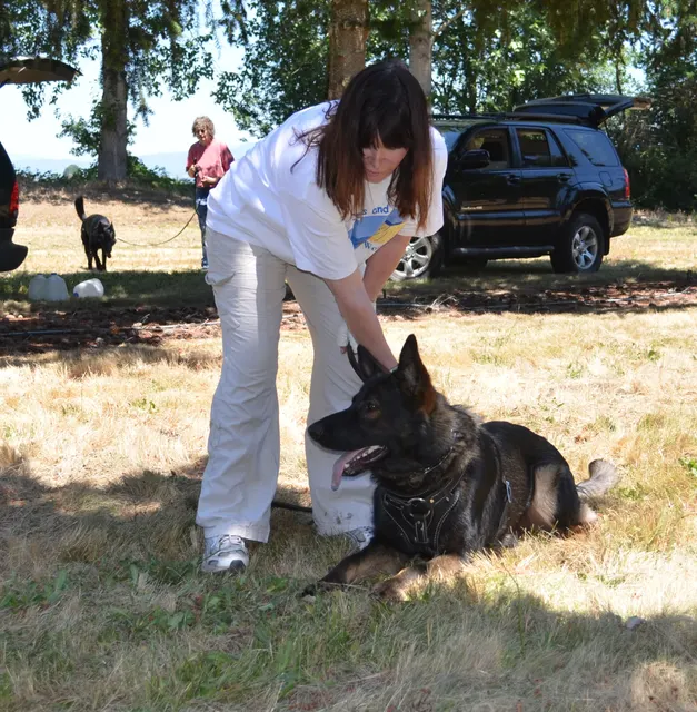Working dog and handler during RVSC July 2011 club training — photo 20