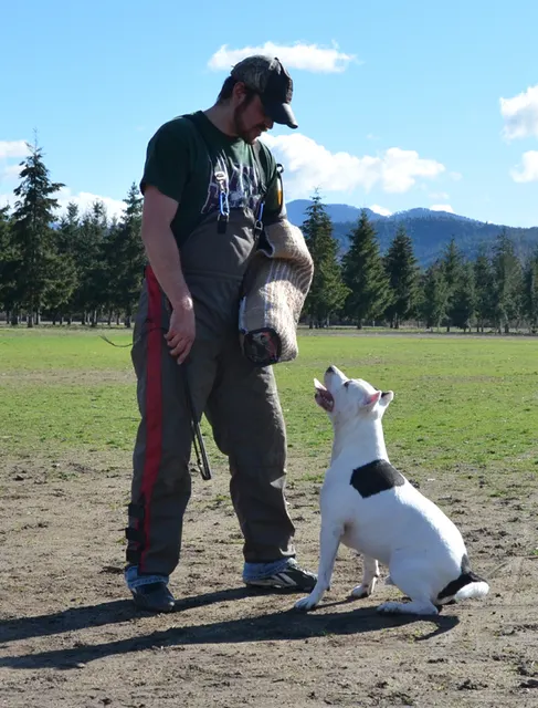 Working dog and handler during RVSC July 2011 club training — photo 27