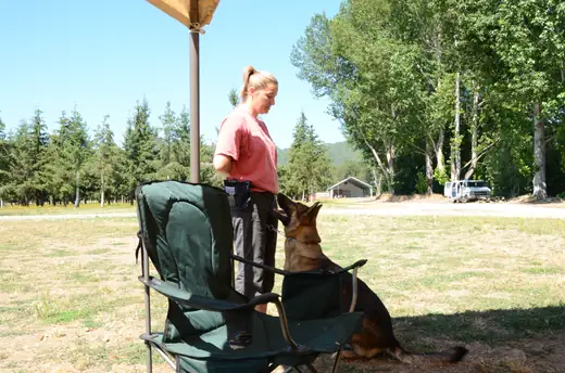 RVSC club member with a working dog during training on July 7, 2012 — photo 02