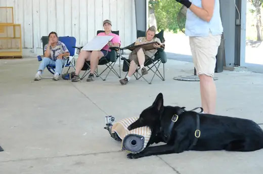 Working dog and handler practicing obedience and control during RVSC club training on July 7, 2012 — photo 02