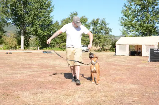 Working dog and handler practicing obedience and control during RVSC club training on July 7, 2012 — photo 03