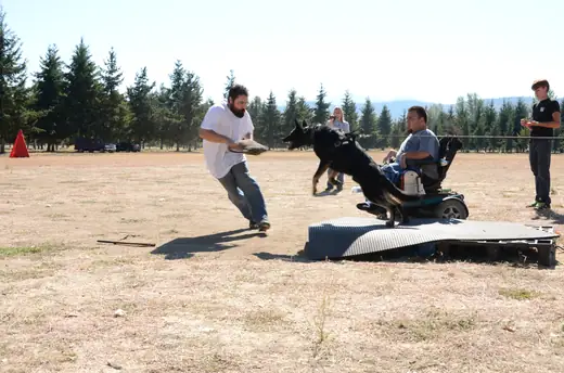 Working dog practicing controlled protection foundations during RVSC club training on July 7, 2012 — photo 03
