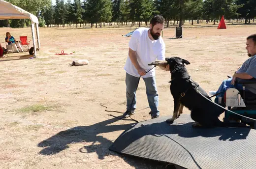 Working dog practicing controlled protection foundations during RVSC club training on July 7, 2012 — photo 04