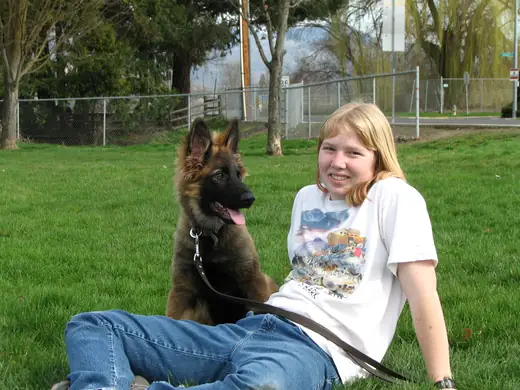 Young German Shepherd with handler during RVSC club training in March 2007 — photo 01