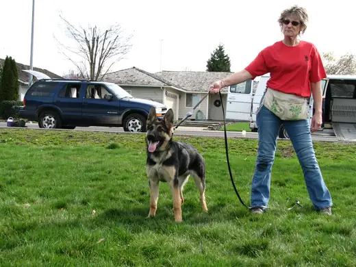 Young German Shepherd with handler during RVSC club training in March 2007 — photo 02