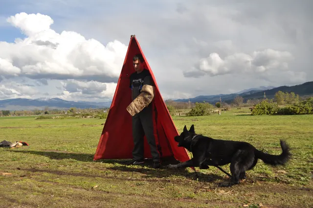 Working dog and handler during RVSC March 30, 2010 club training — photo 01