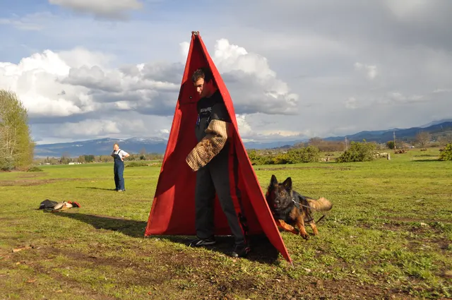 Working dog and handler during RVSC March 30, 2010 club training — photo 02