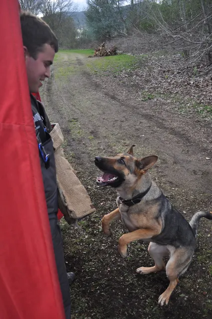 Working dog and handler during RVSC March 30, 2010 club training — photo 04