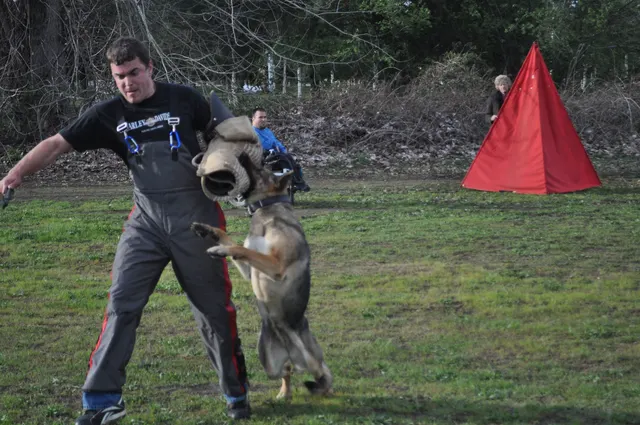 Working dog and handler during RVSC March 30, 2010 club training — photo 05