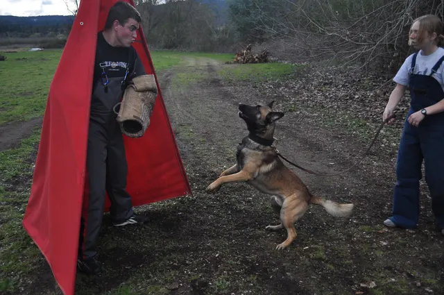Working dog and handler during RVSC March 30, 2010 club training — photo 09