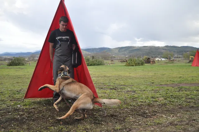 Working dog and handler during RVSC March 30, 2010 club training — photo 10