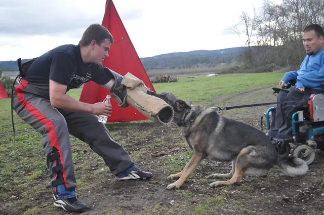 Working dog and handler during RVSC March 30, 2010 club training — photo 12