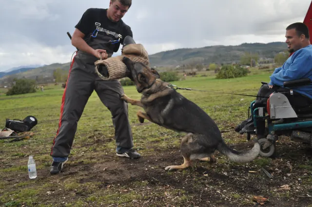 Working dog and handler during RVSC March 30, 2010 club training — photo 13
