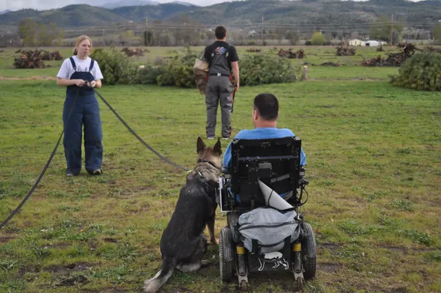 Working dog and handler during RVSC March 30, 2010 club training — photo 14