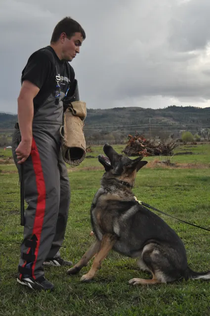 Working dog and handler during RVSC March 30, 2010 club training — photo 16