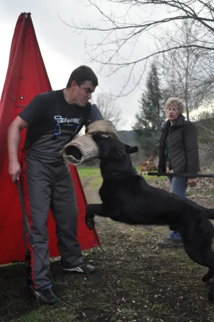Working dog and handler during RVSC March 30, 2010 club training — photo 19