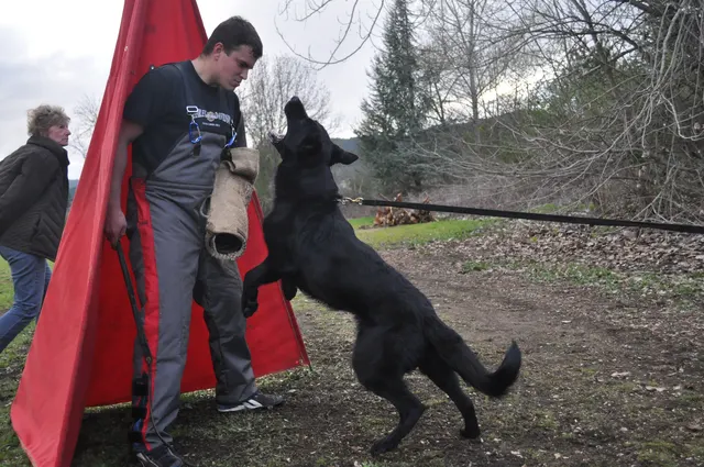 Working dog and handler during RVSC March 30, 2010 club training — photo 21