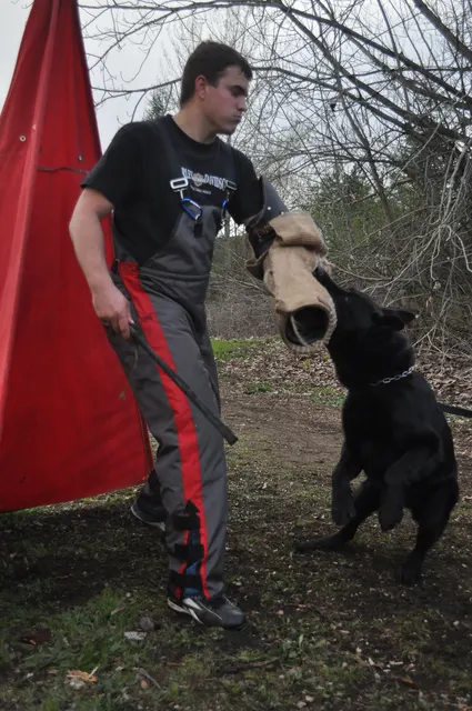 Working dog and handler during RVSC March 30, 2010 club training — photo 23
