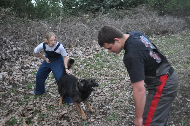 Working dog and handler during RVSC March 30, 2010 club training — photo 26