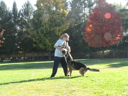 Working dog and handler practicing obedience during RVSC club training in November 2006 — photo 01