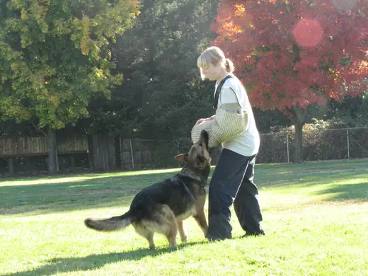 Working dog and handler practicing obedience during RVSC club training in November 2006 — photo 02