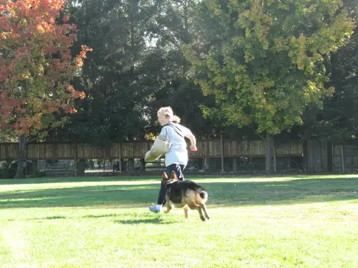 Working dog and handler practicing obedience during RVSC club training in November 2006 — photo 04