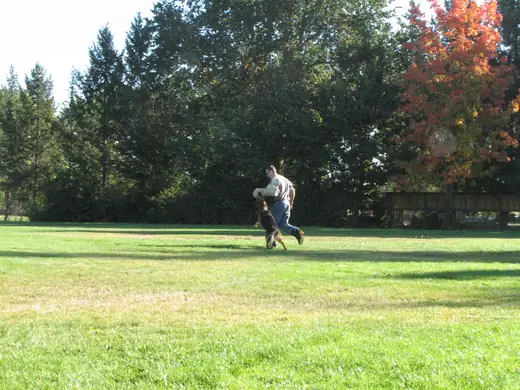 Working dog and handler practicing obedience during RVSC club training in November 2006 — photo 05