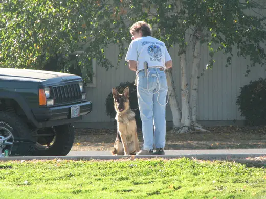 Working dog and handler practicing obedience during RVSC club training in November 2006 — photo 06