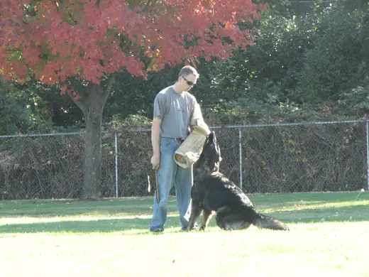 Working dog and handler practicing obedience during RVSC club training in November 2006 — photo 07