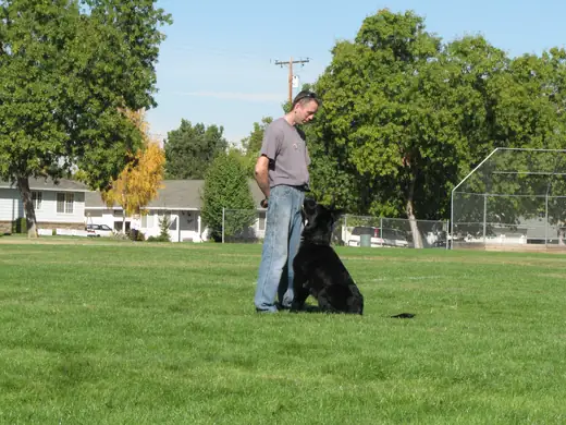 Working dog and handler practicing obedience during RVSC club training in November 2006 — photo 09