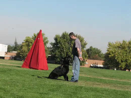 Working dog and handler practicing obedience during RVSC club training in November 2006 — photo 10