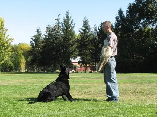 Working dog and handler practicing obedience during RVSC club training in November 2006 — photo 12