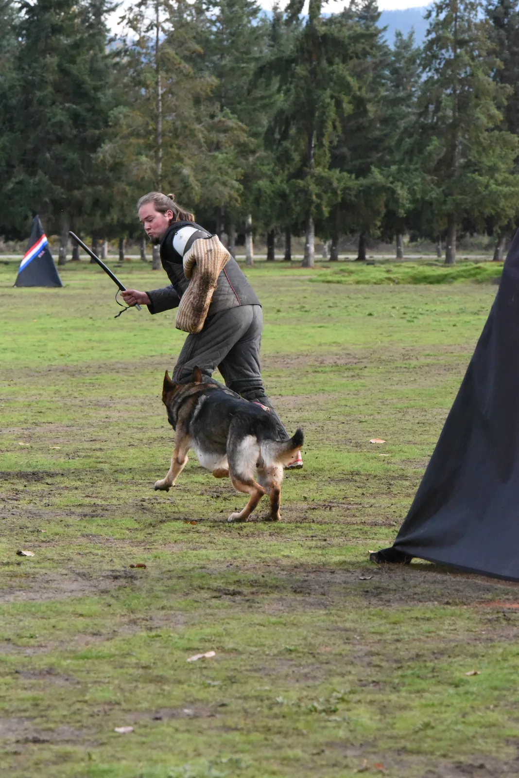 Working dog clearing the obedience hurdle during the 2017 RVSC fall trial