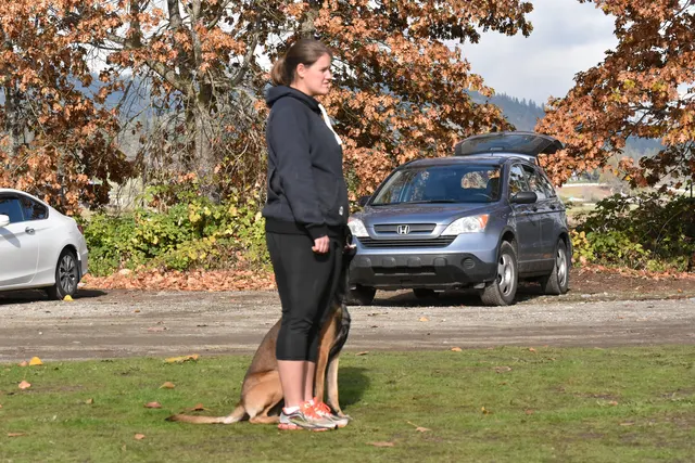 2017 RVSC fall Schutzhund trial — a handler and working dog preparing together on the trial field