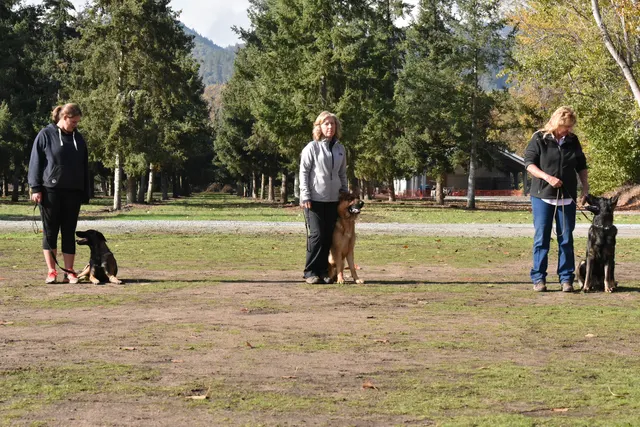 2017 RVSC fall Schutzhund trial — handlers and working dogs standing in a formal trial lineup
