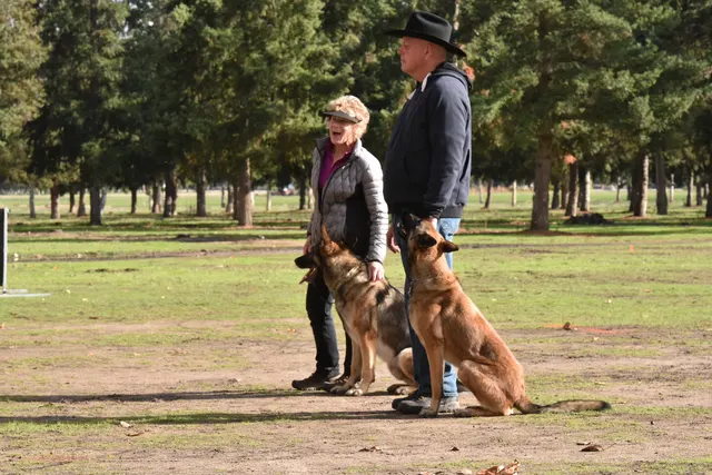 2017 RVSC fall Schutzhund trial — a trial official, handler and working dog together on the field