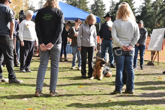 2017 RVSC fall Schutzhund trial — handlers and working dogs assembled across the trial field
