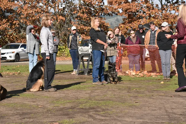 2017 RVSC fall Schutzhund trial — trial participants gathered with their dogs for a field presentation