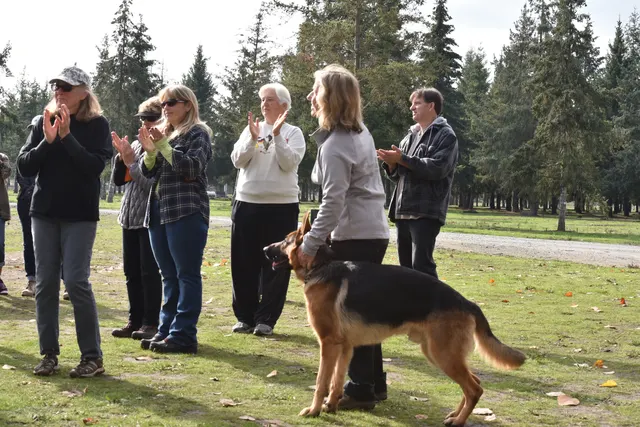 2017 RVSC fall Schutzhund trial — handlers, working dogs and spectators gathered during the event