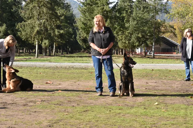 2017 RVSC fall Schutzhund trial — a handler maintaining engagement with a working dog on the field
